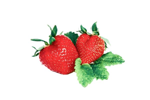 Fresh Strawberry - Image 2