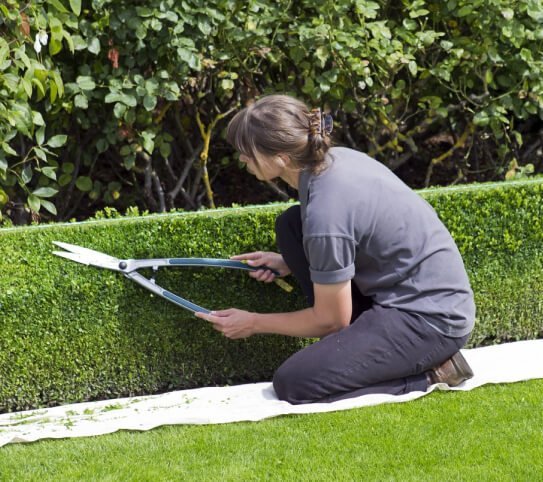 Elevate Your Environment: Essential Landscaping Services