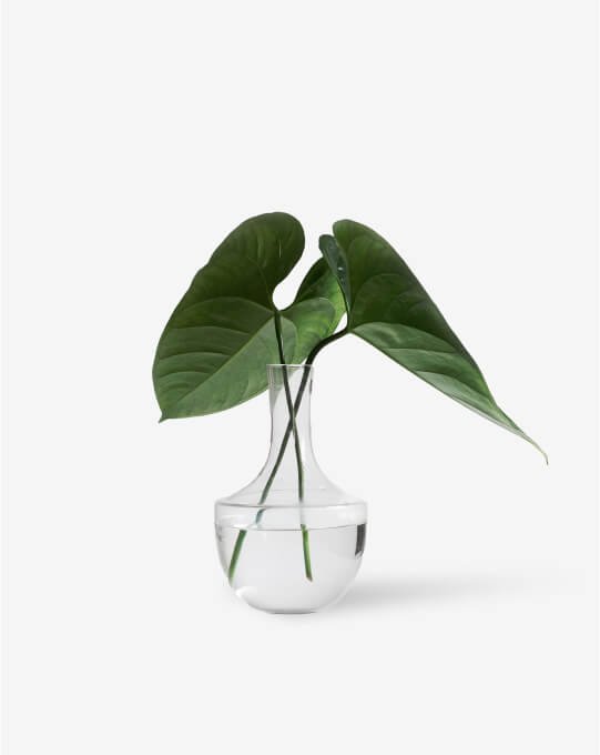 product_2 Table Plant