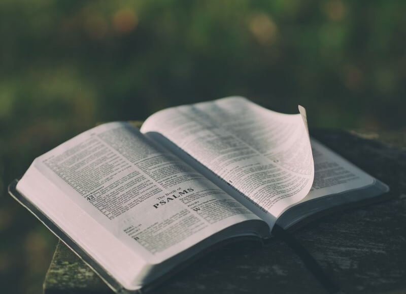 The Future of Digital Marketing: Trends Every Business Should Embrace