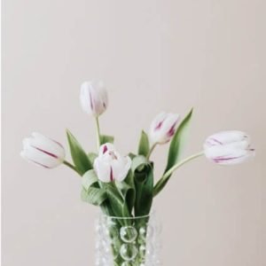 Minimal Flower Pot