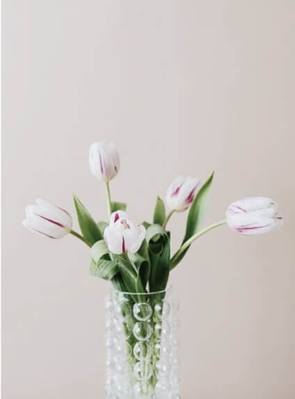 Minimal Flower Pot